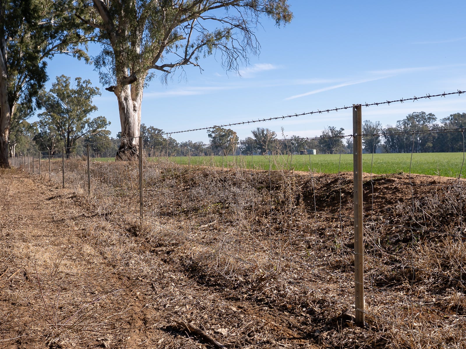 Business For Sale: Forbes, NSW 2871