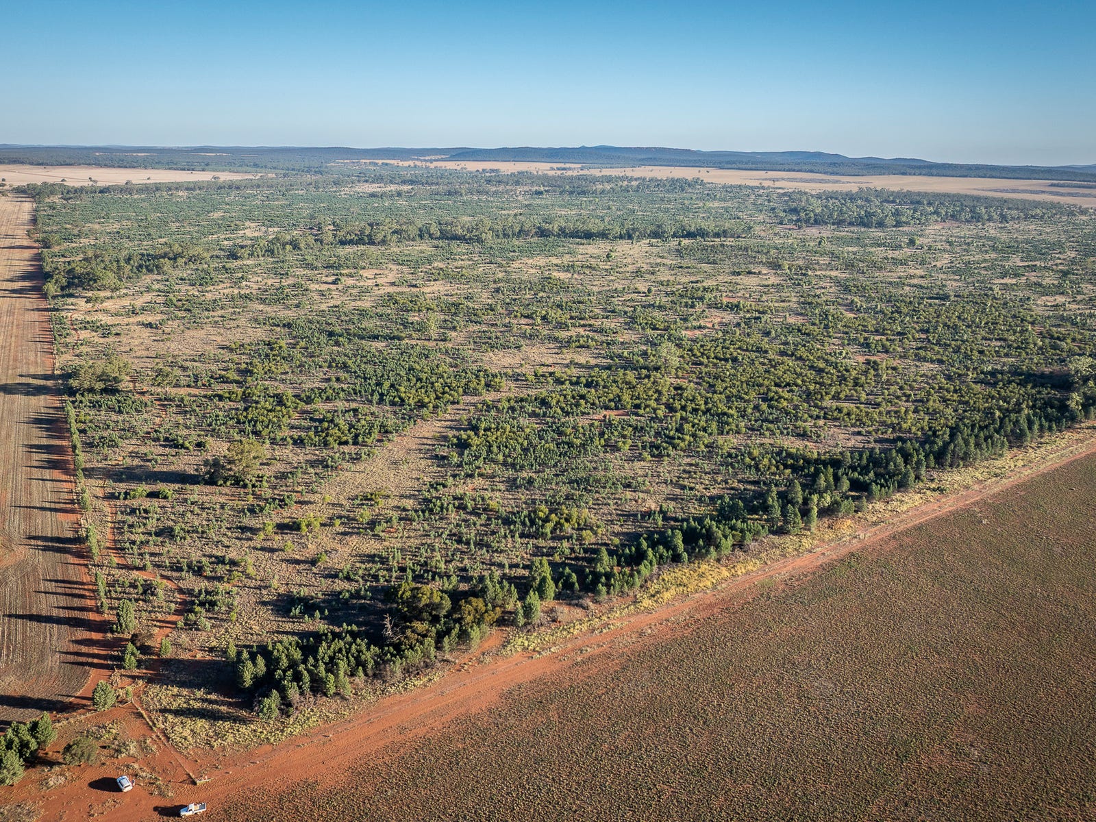 Business For Sale: Tottenham, NSW 2873