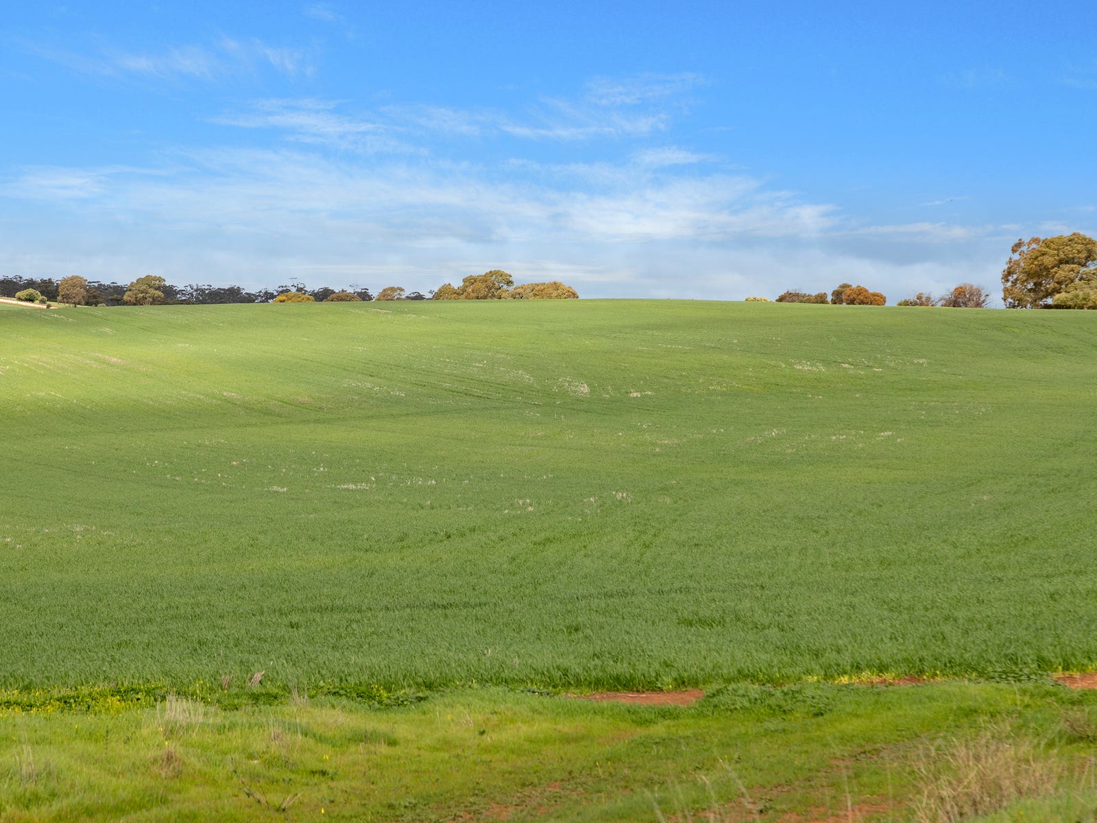 Business For Sale: Yacka, SA 5470