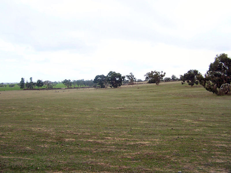 Farm For Sale in Padthaway, SA 5271 Padthaway Mundulla Road