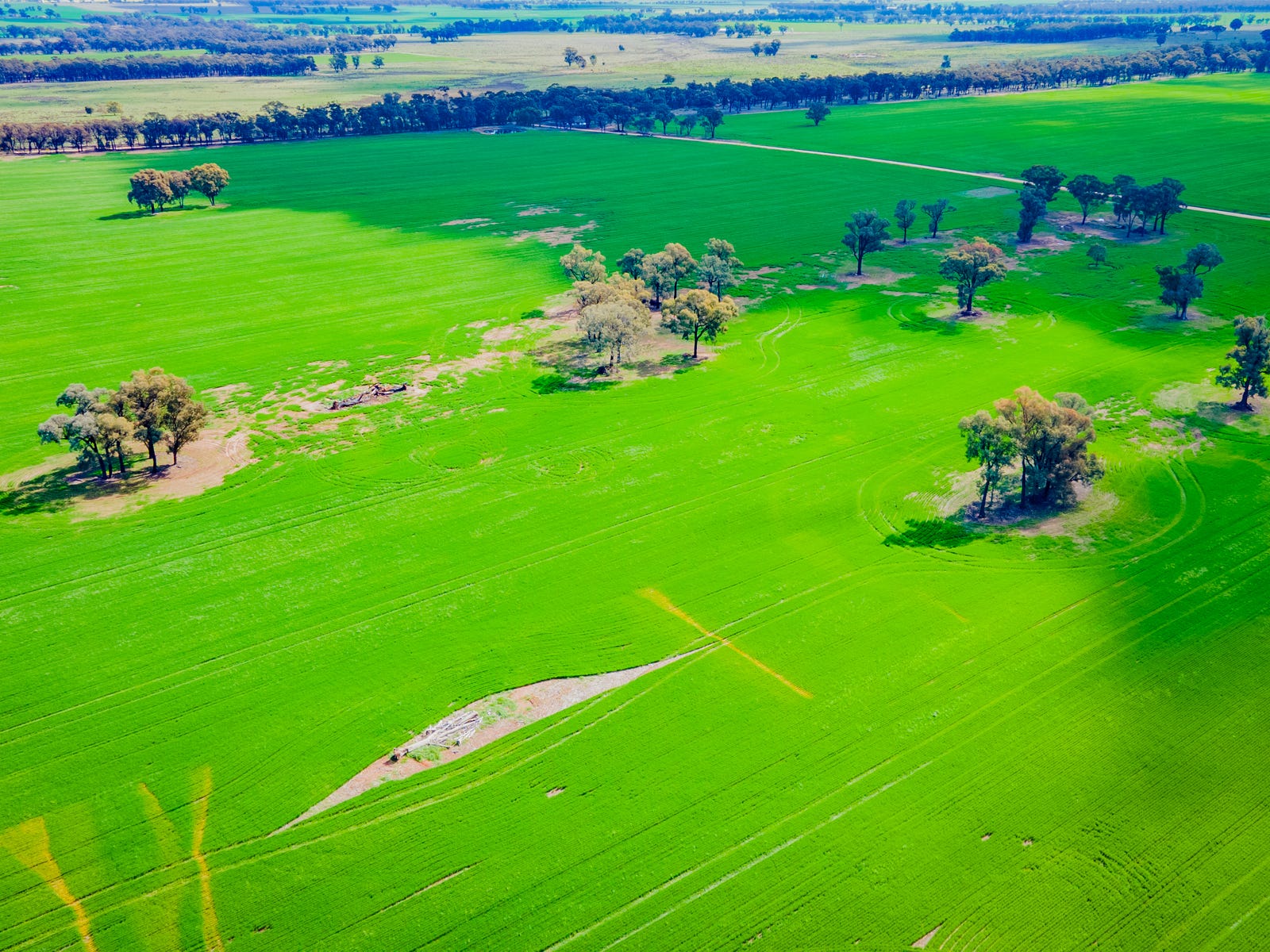 Business For Sale: Mimosa, NSW 2666