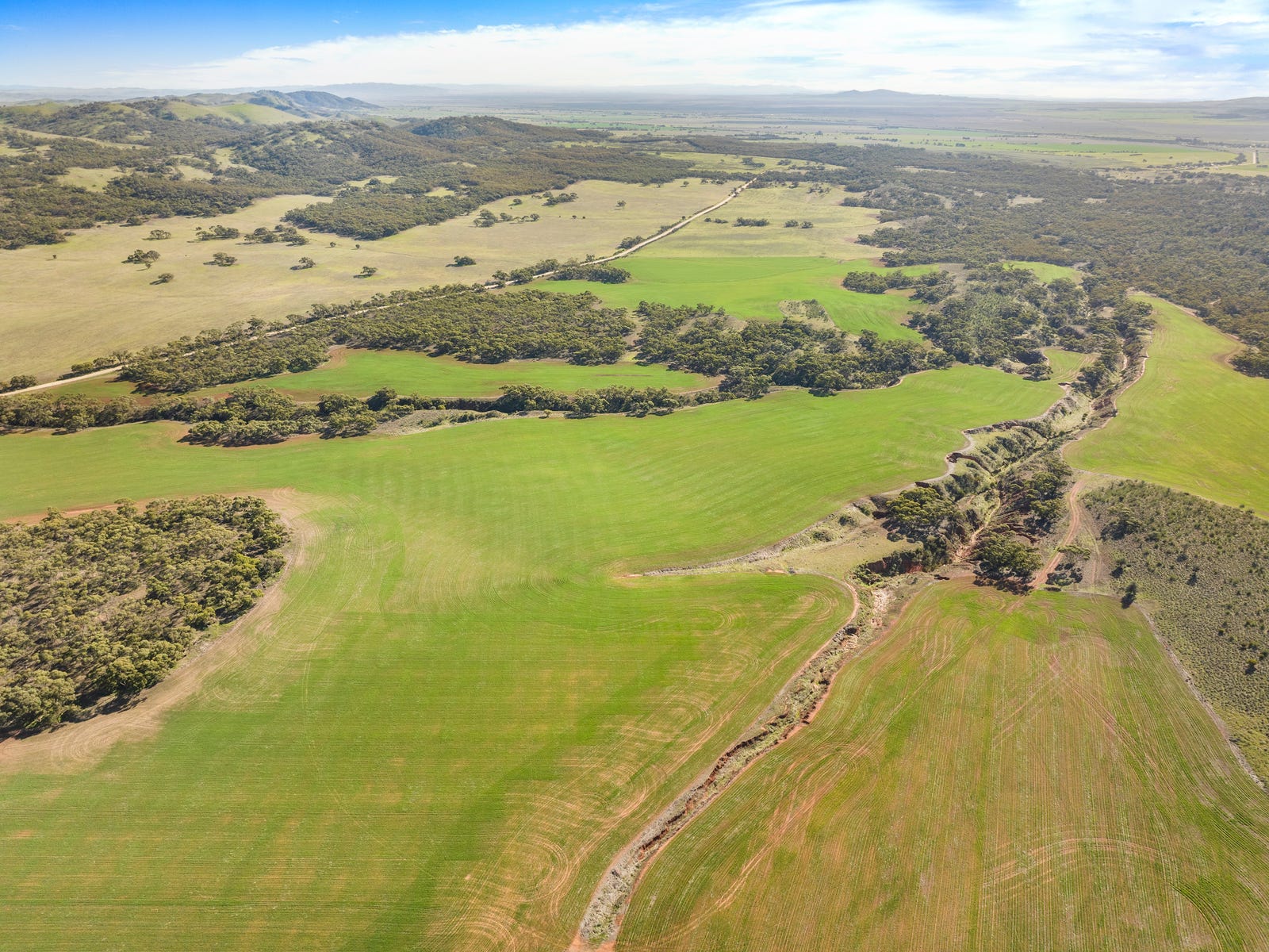 Business For Sale: Pekina, SA 5431