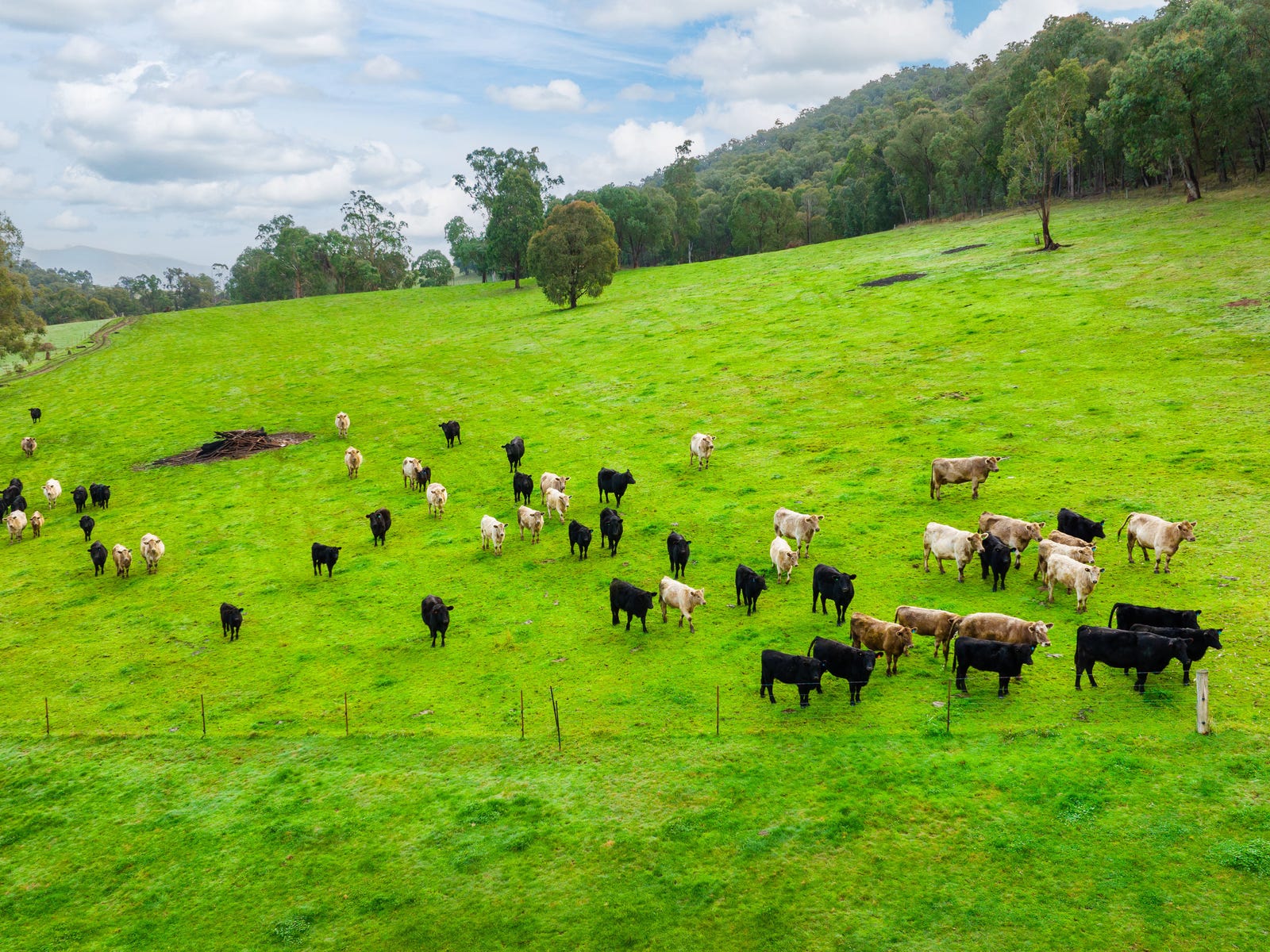 Business For Sale: Upper Gundowring, Vic 3691