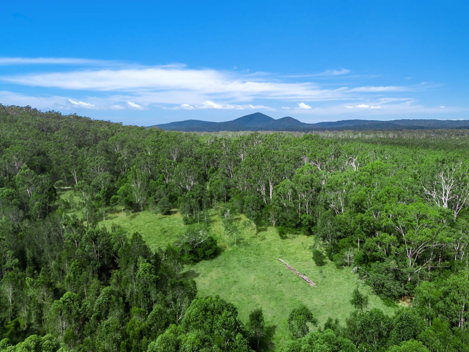 Business For Sale: Shark Creek, NSW 2463