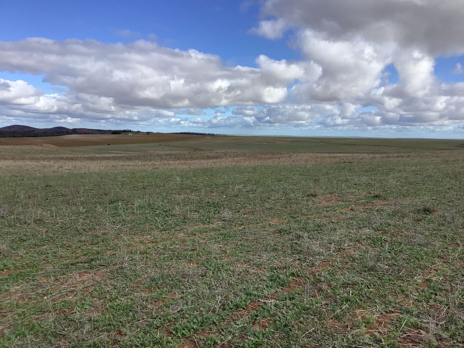 Business For Sale: Wilcherry, SA 5641