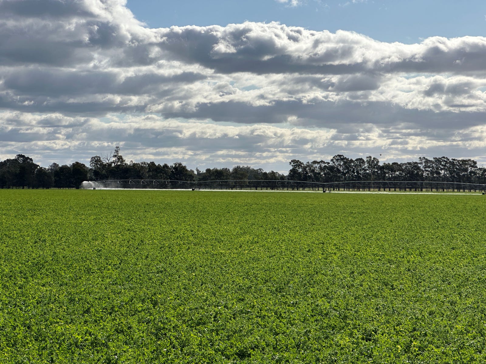 Business For Sale: Wagga Wagga, NSW 2650