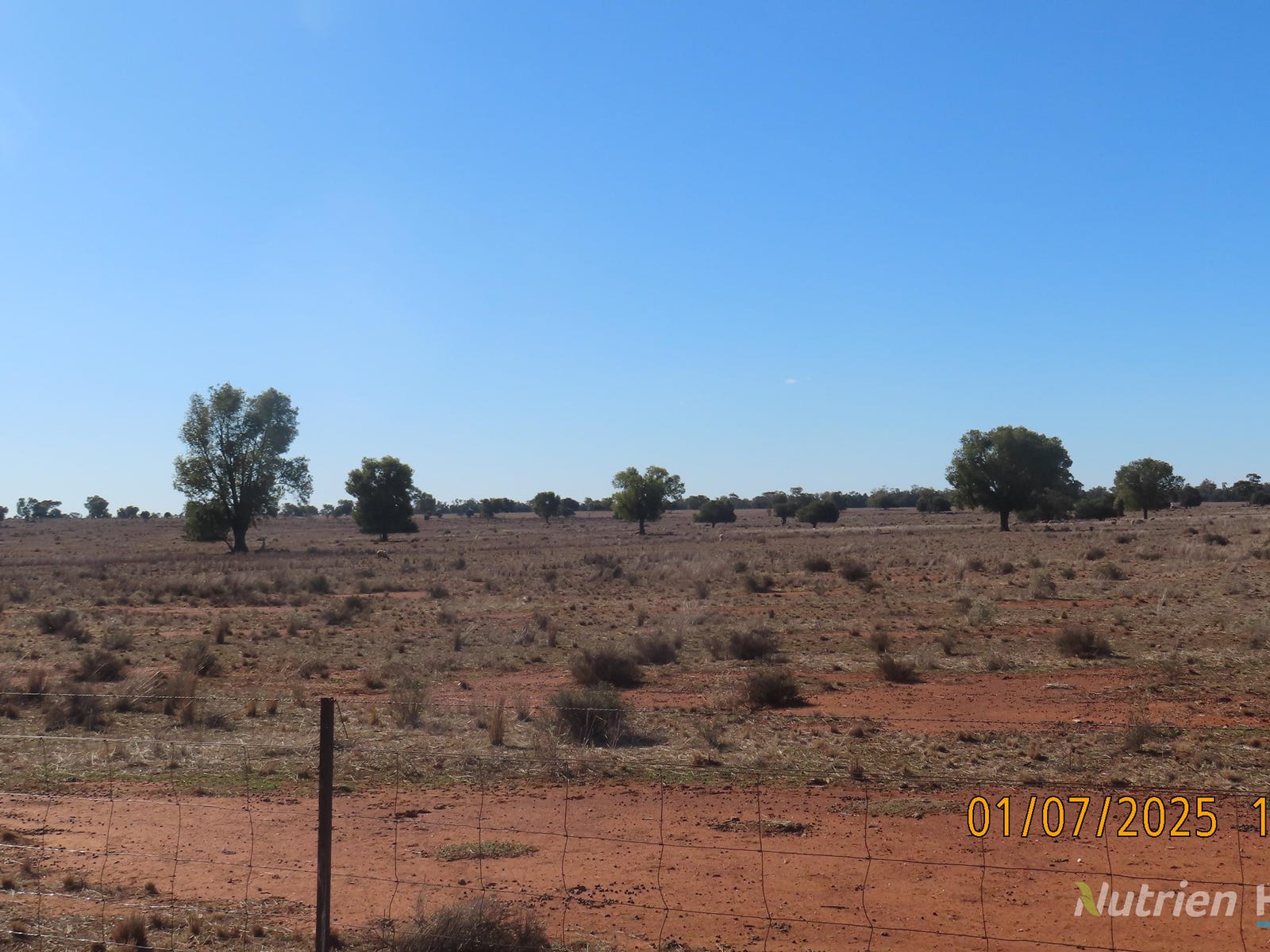Business For Sale: Hermidale, NSW 2831
