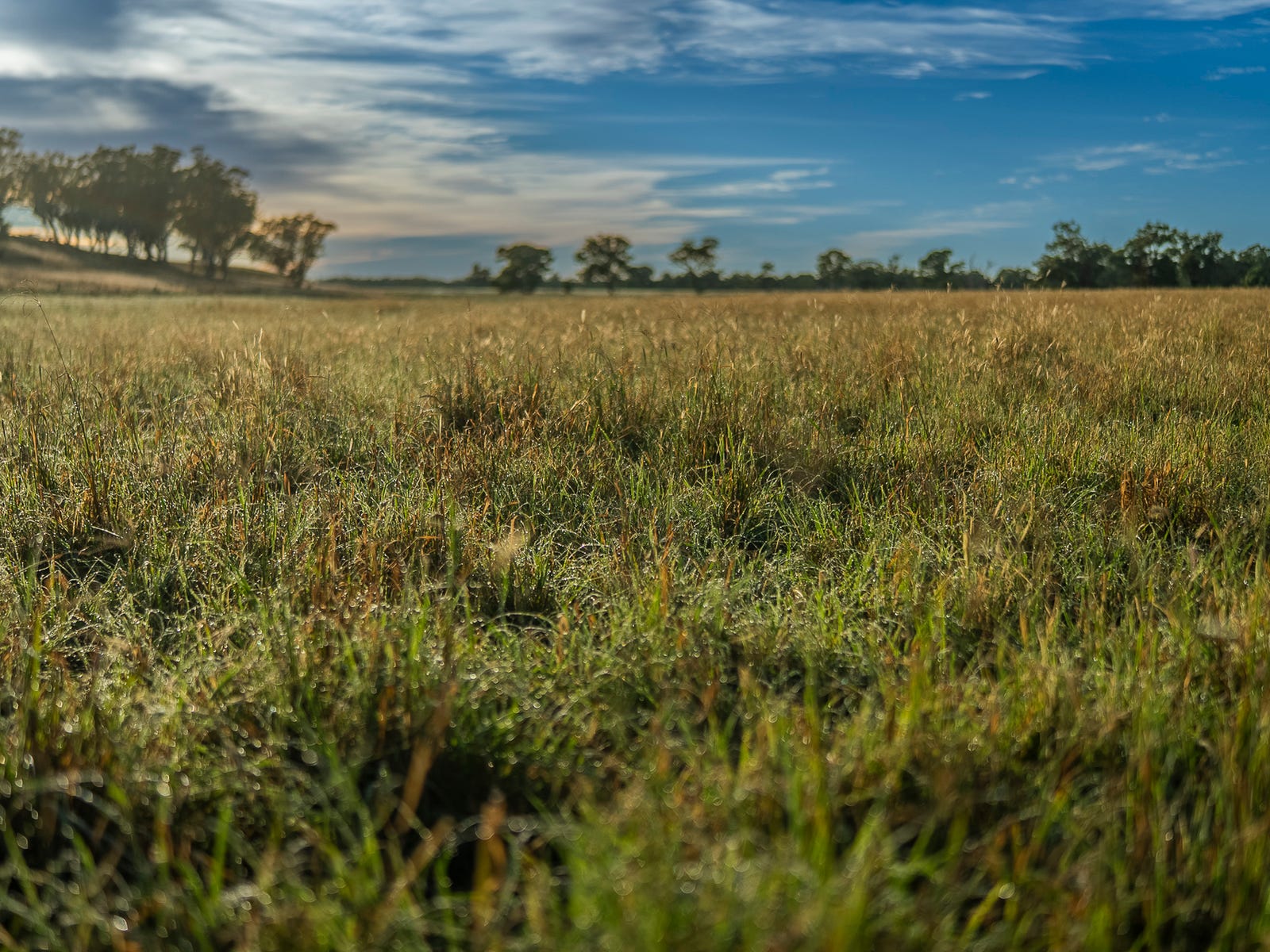 Business For Sale: Dubbo, NSW 2830
