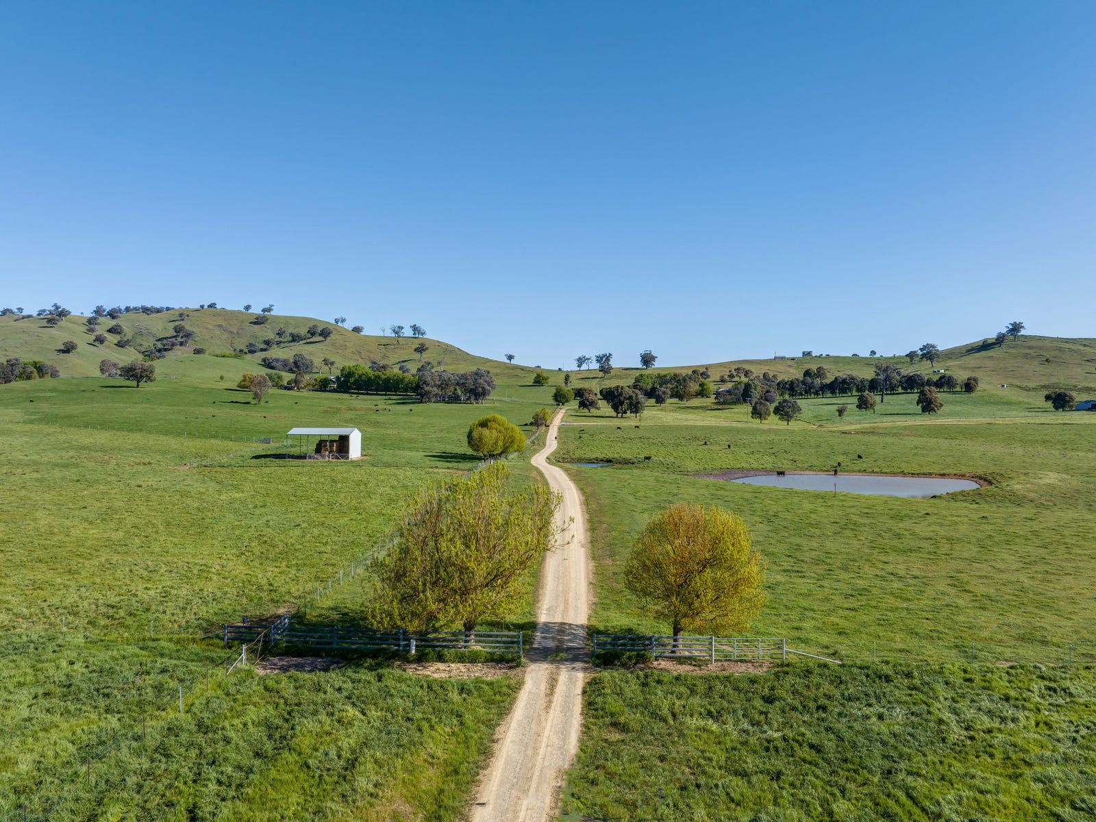Business For Sale: Tumut, NSW 2720