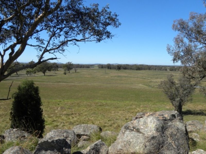 Farm For Sale in Cowra, NSW 2794 Back Creek Reserve Road