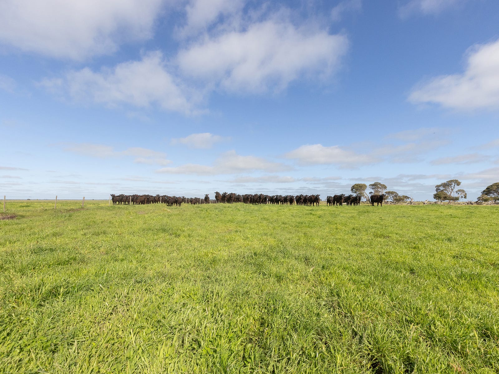 Business For Sale: Kingston Se, SA 5275