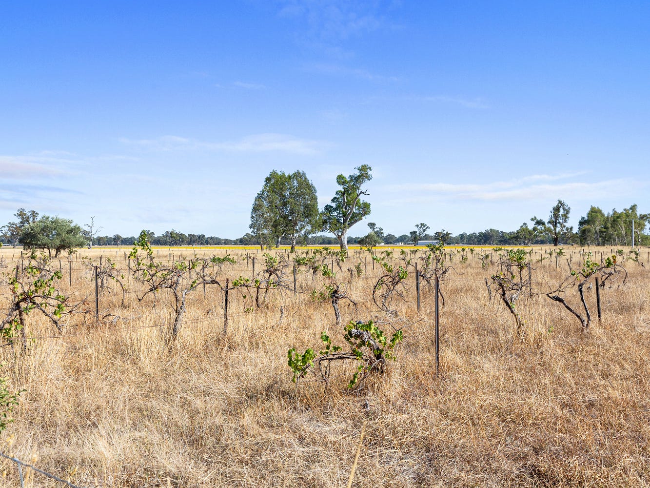 Business For Sale: Markwood, Vic 3678