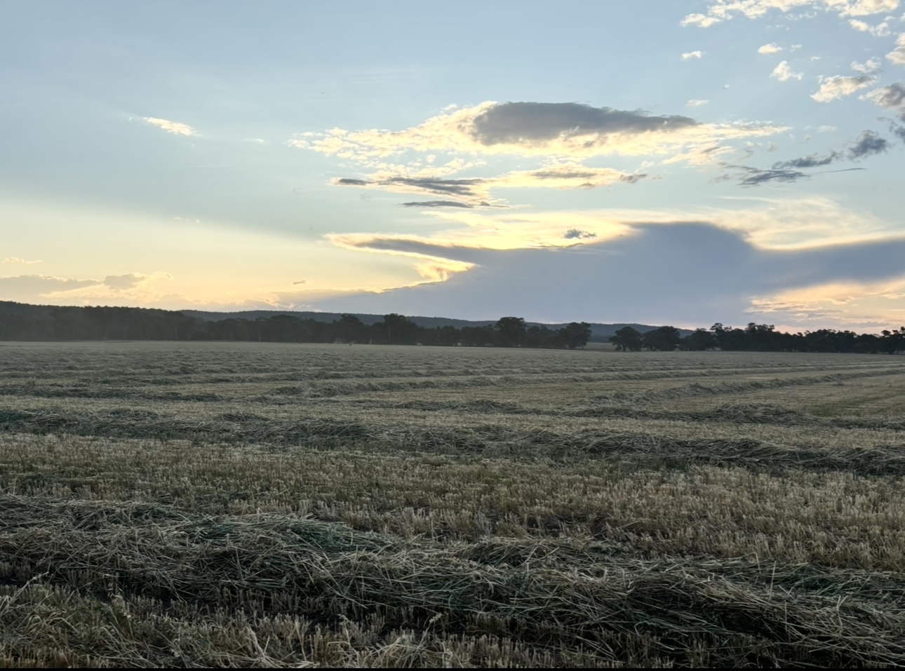 Business For Sale: Neilrex, NSW 2831