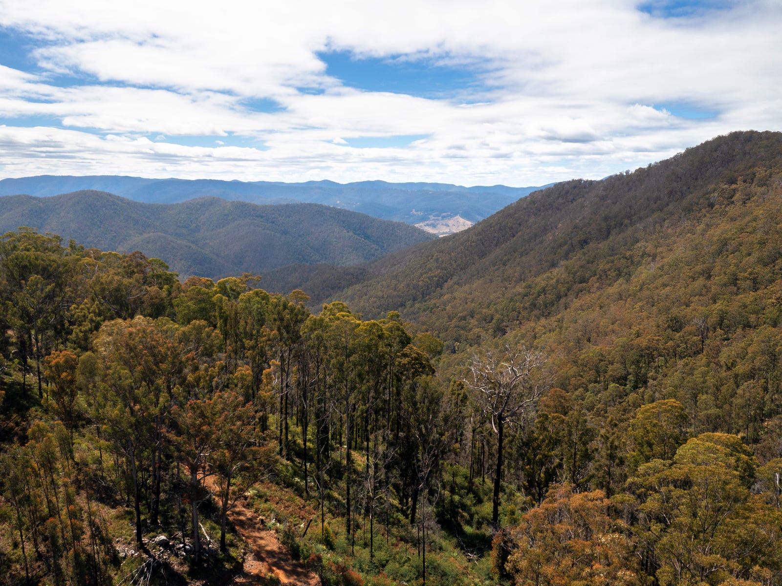 Business For Sale: Cells River, NSW 2424