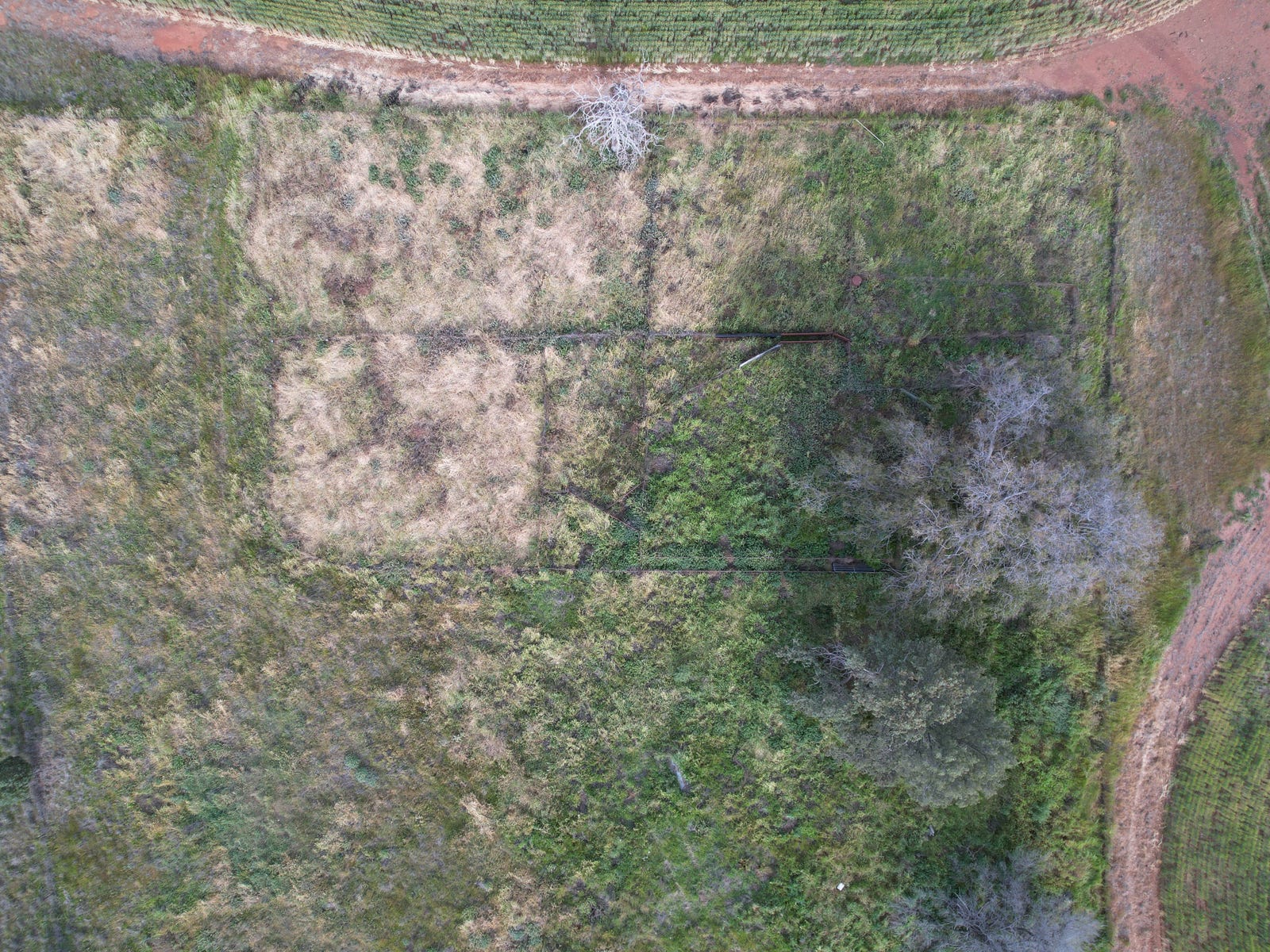 Business For Sale: West Wyalong, NSW 2671