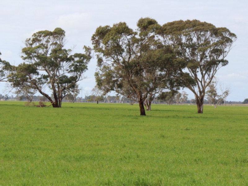 Business For Sale: Keith, SA 5267