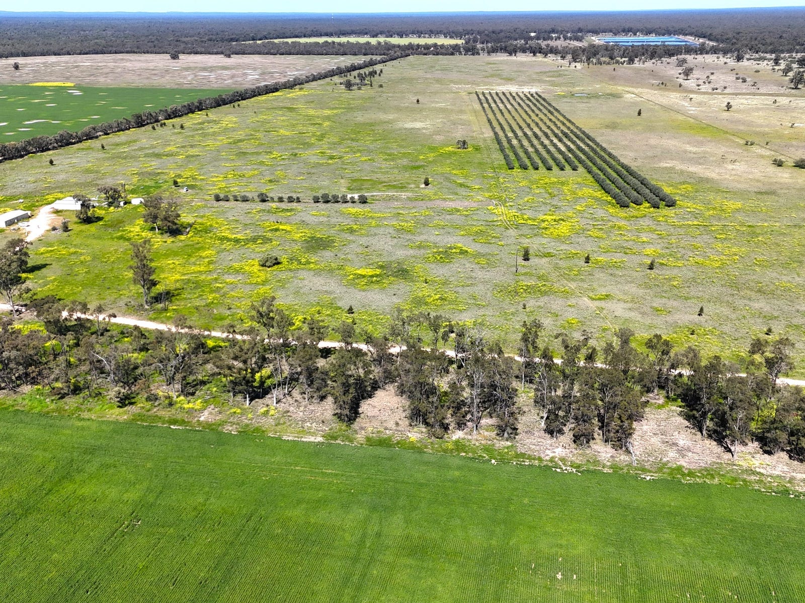 Business For Sale: Bohena Creek, NSW 2390