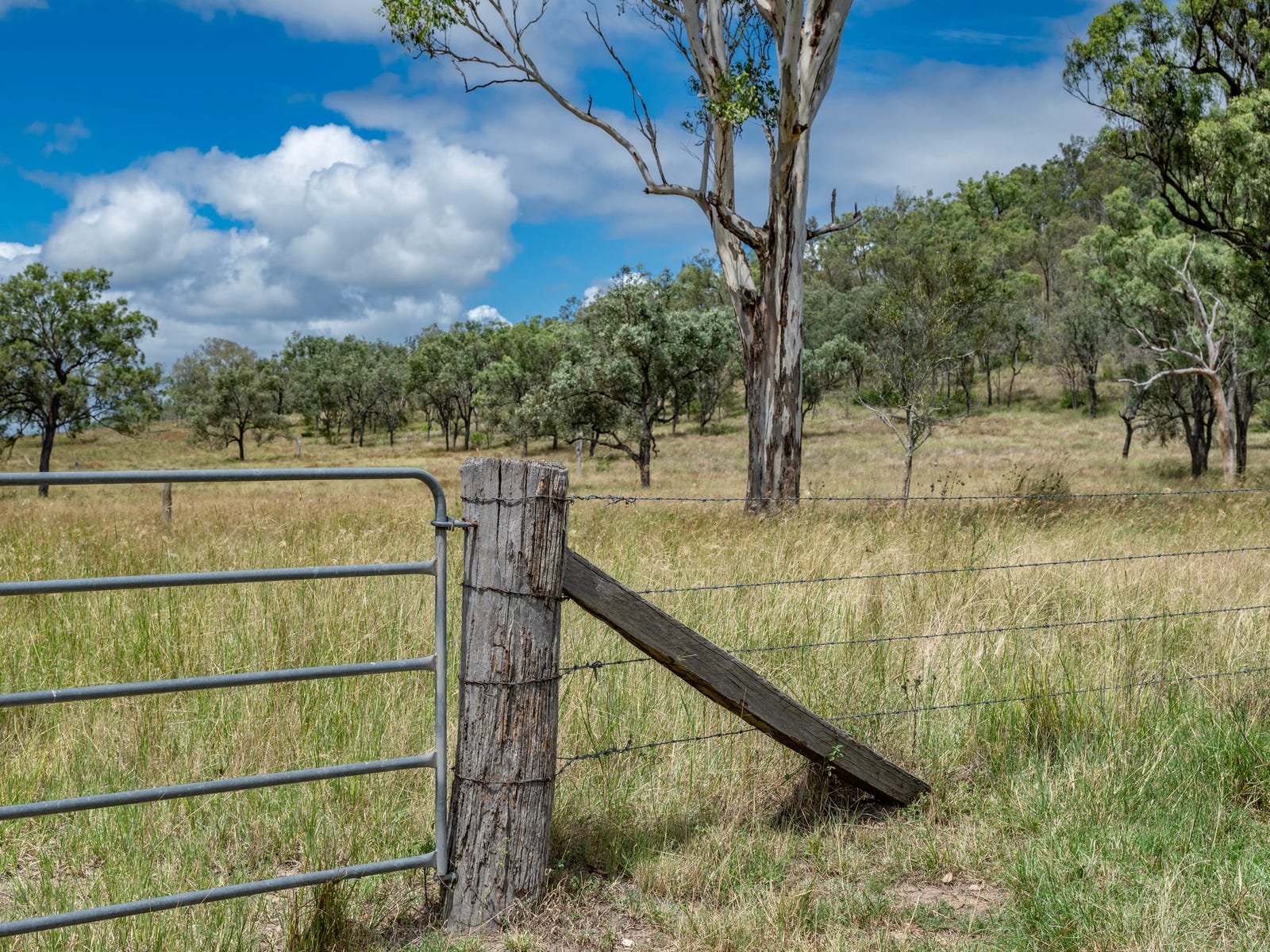 Business For Sale: Tansey, Qld 4601