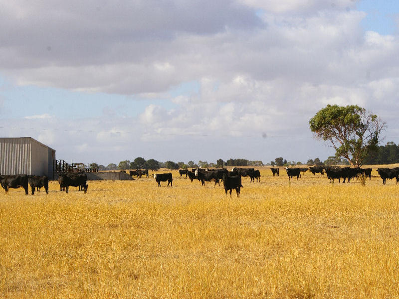 Business For Sale: Lucindale, SA 5272