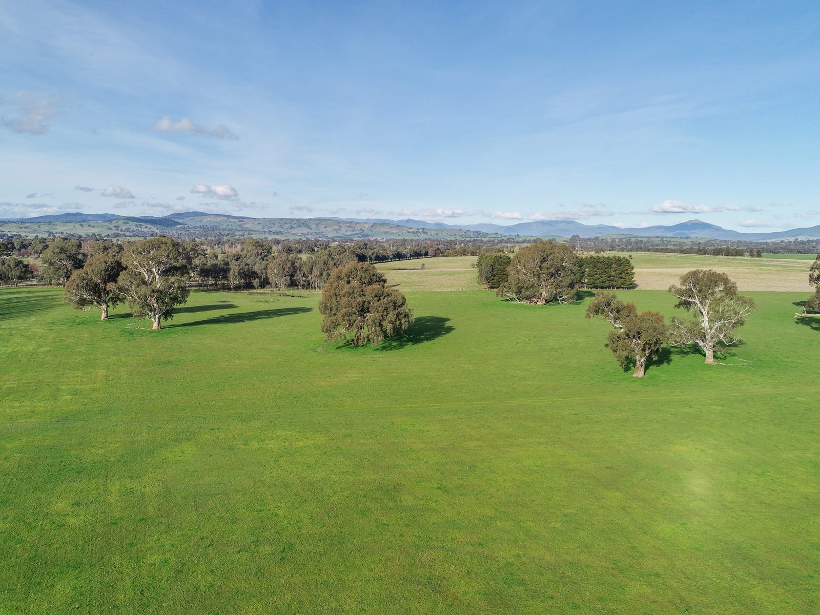 Farms For Sale in Mansfield, Vic 3722