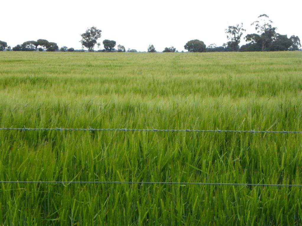 View Sold Farms in VIC (Page 6)