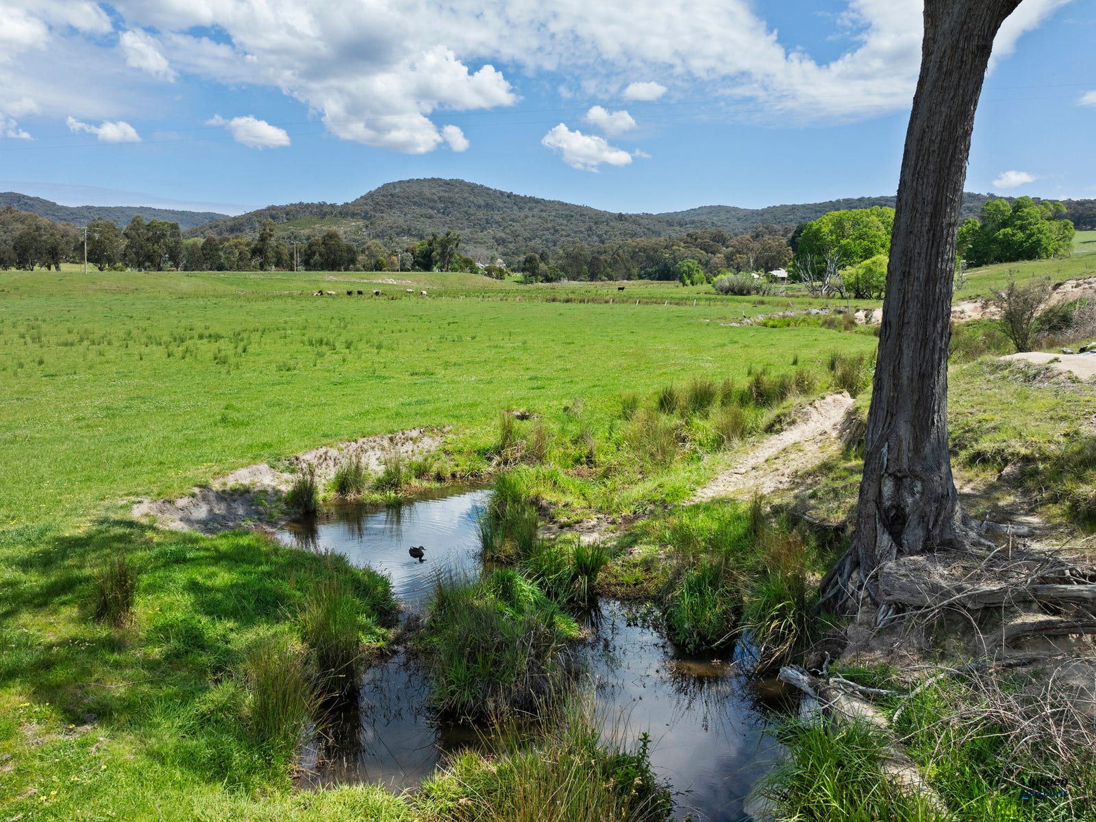 Business For Sale: Lima East, Vic 3673