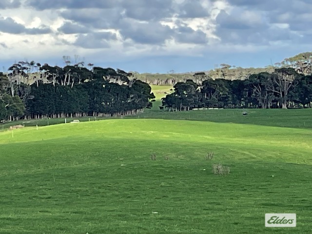 Business For Sale: Lymwood, Tas 7256