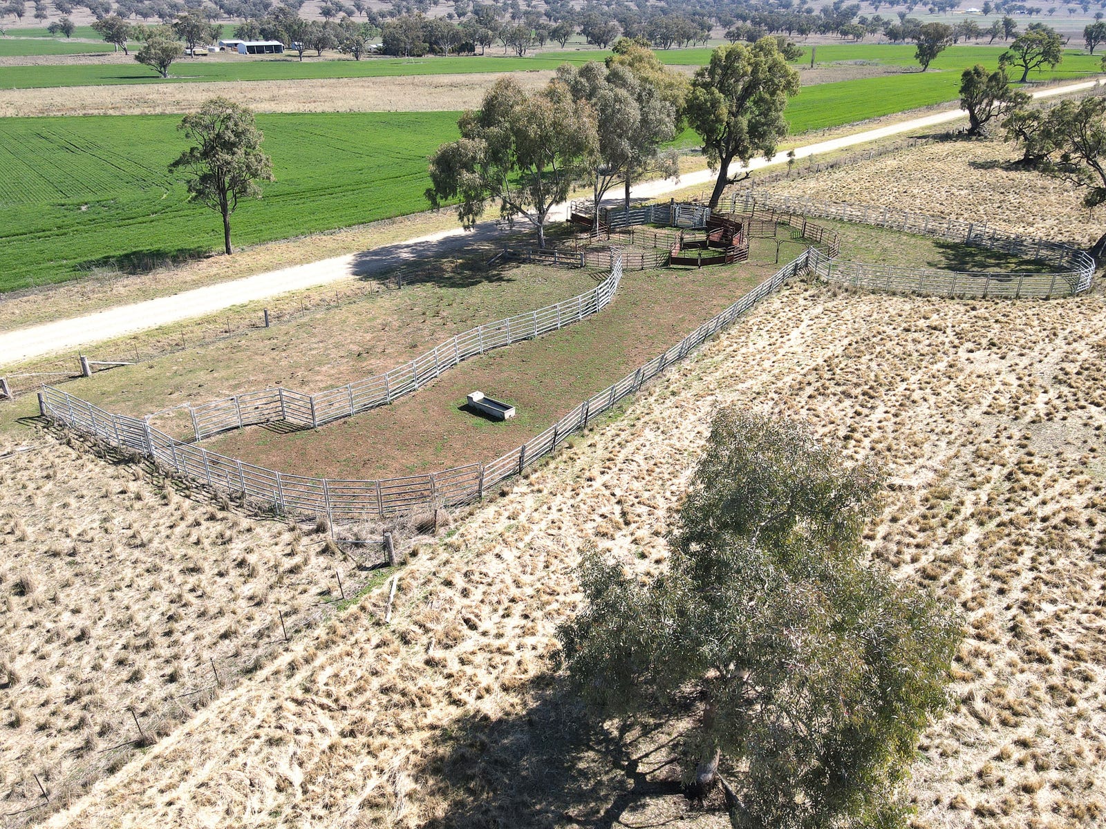 Business For Sale: Parraweena, NSW 2339