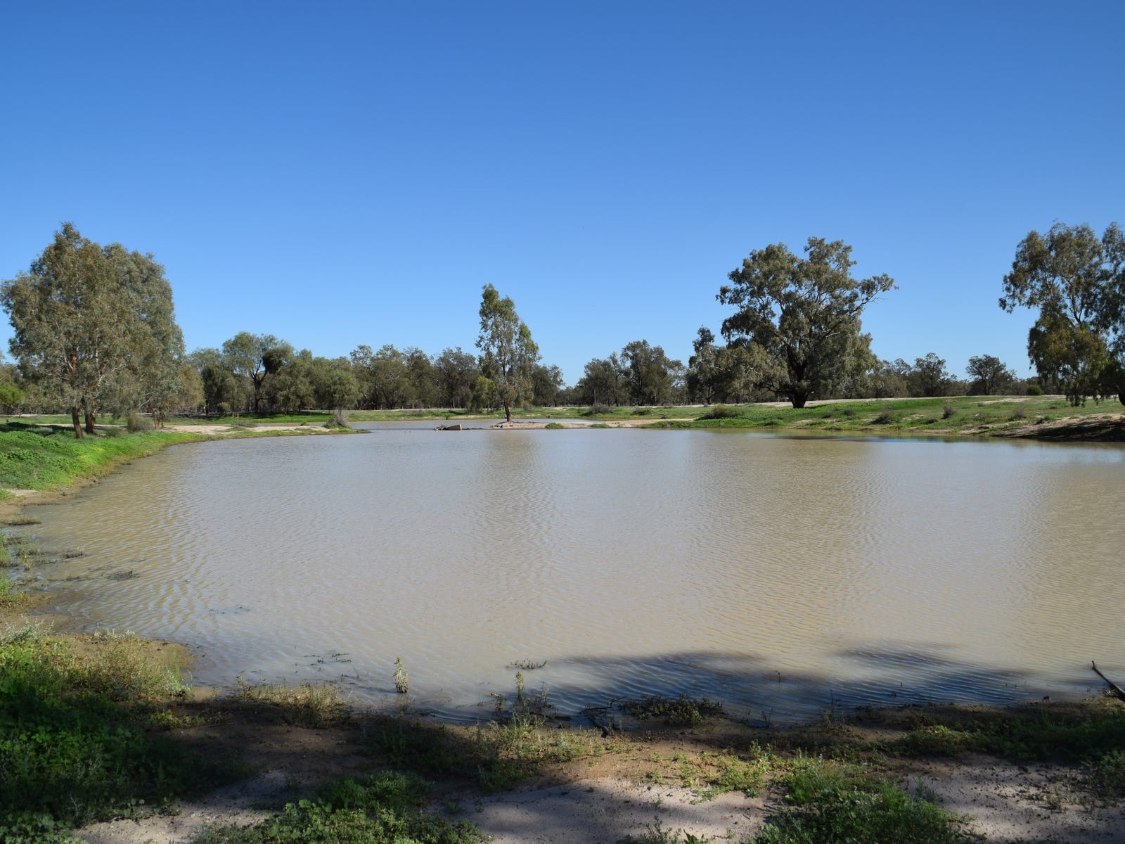 Business For Sale: Walgett, NSW 2832
