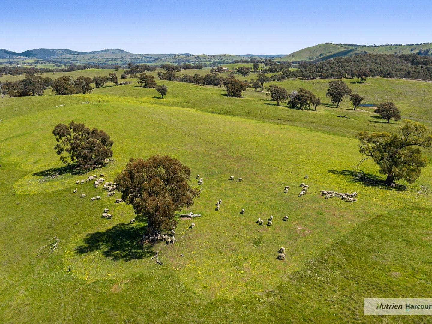 Business For Sale: Kilmore, Vic 3764