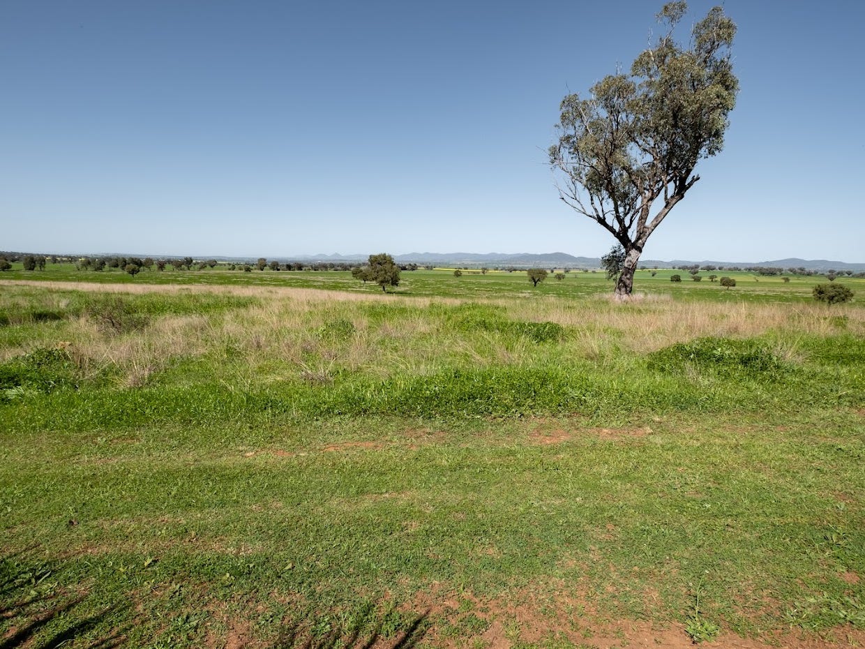 Business For Sale: Somerton, NSW 2340
