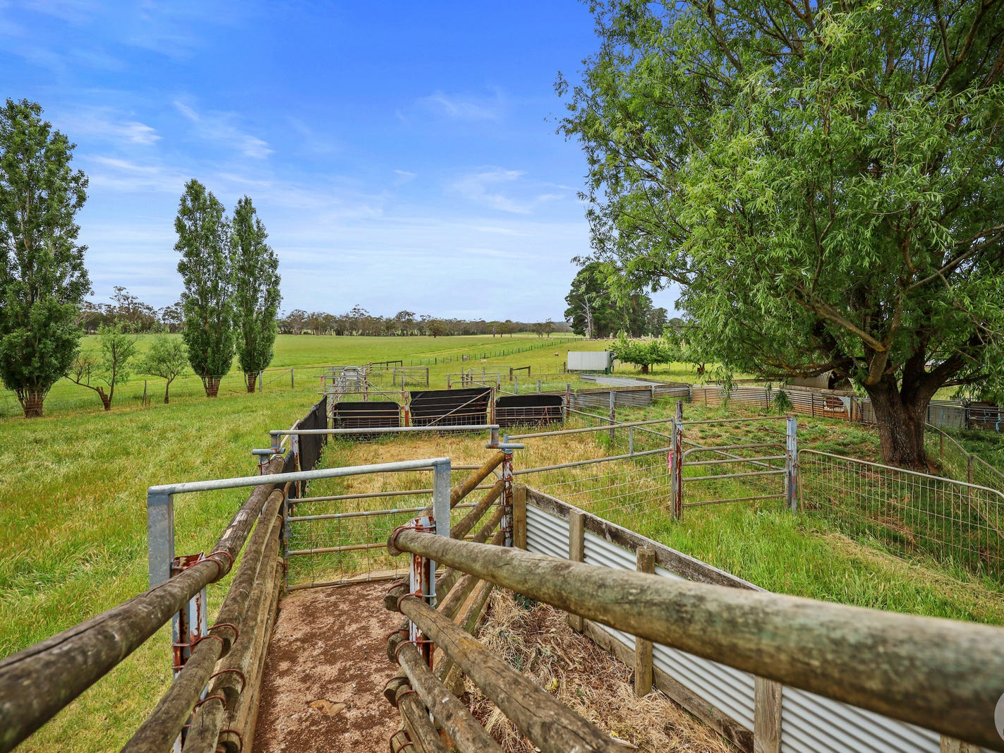 Business For Sale: Drumborg, Vic 3304