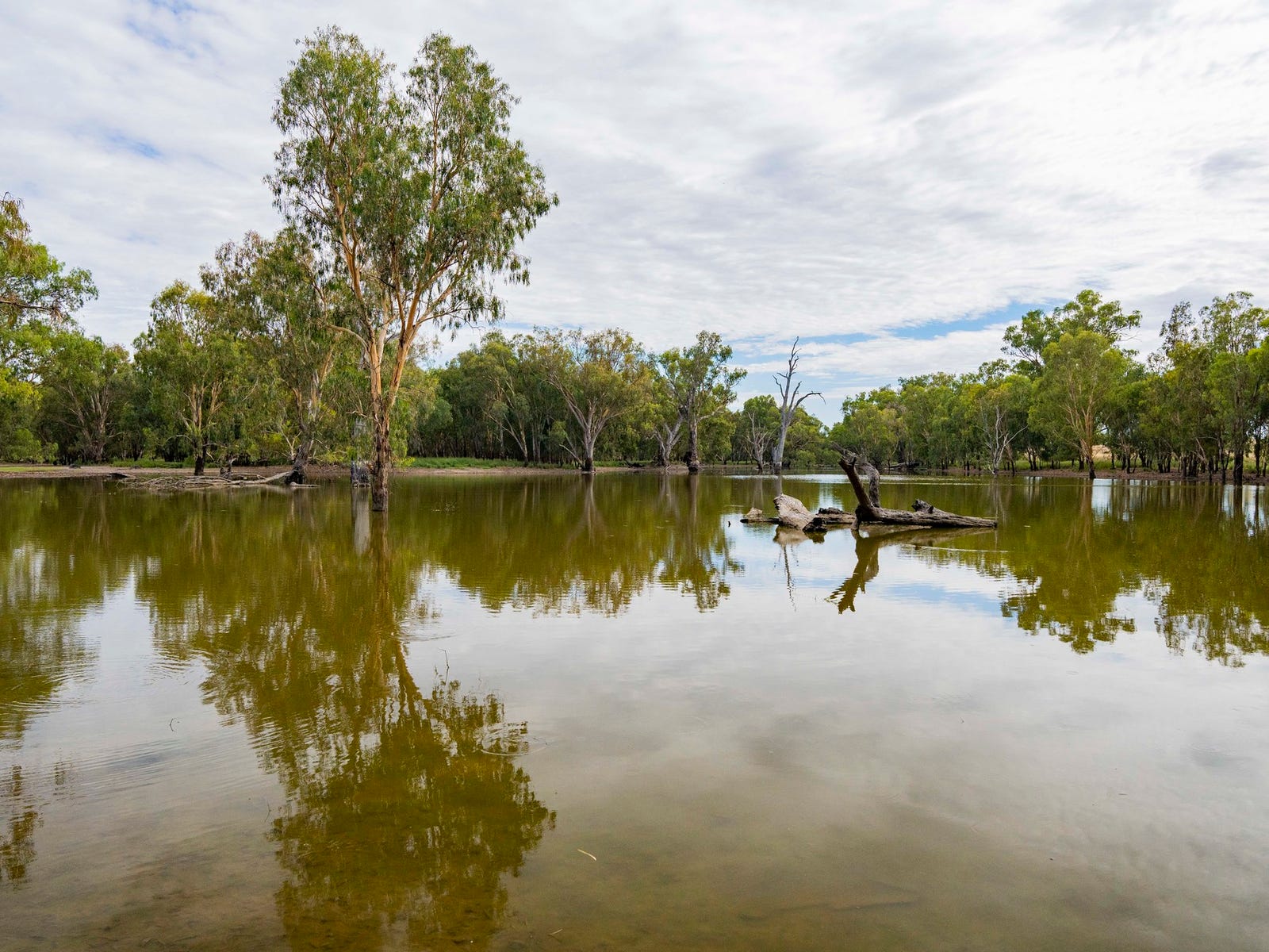 Farms For Sale in Narrandera, NSW 2700