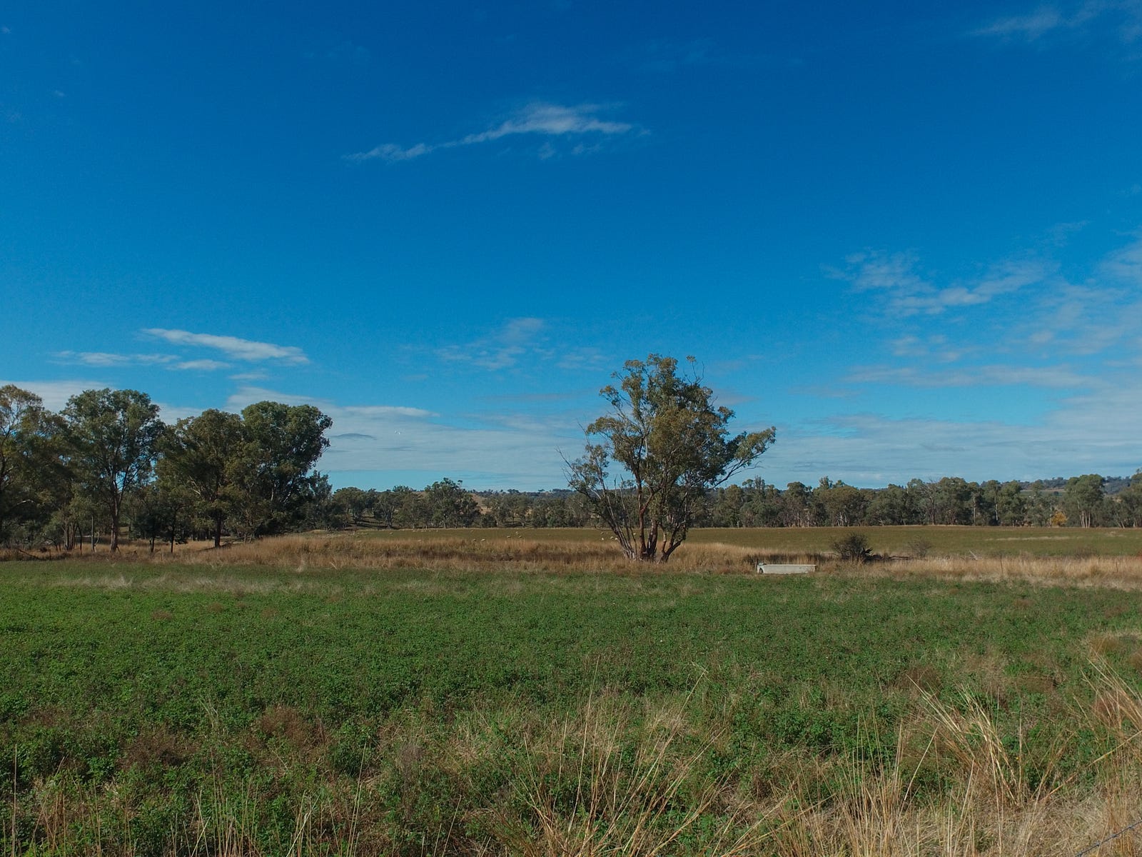 Business For Sale: Rob Roy, NSW 2360