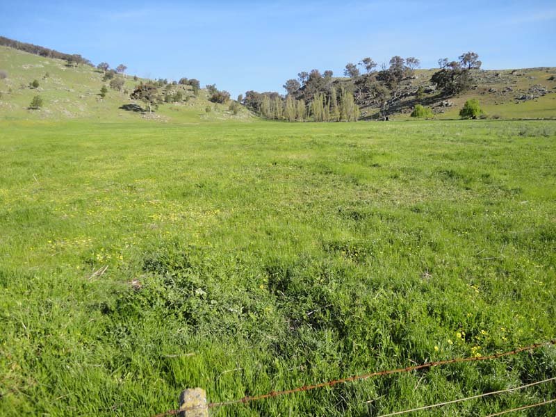 Business For Sale: Violet Town, Vic 3669