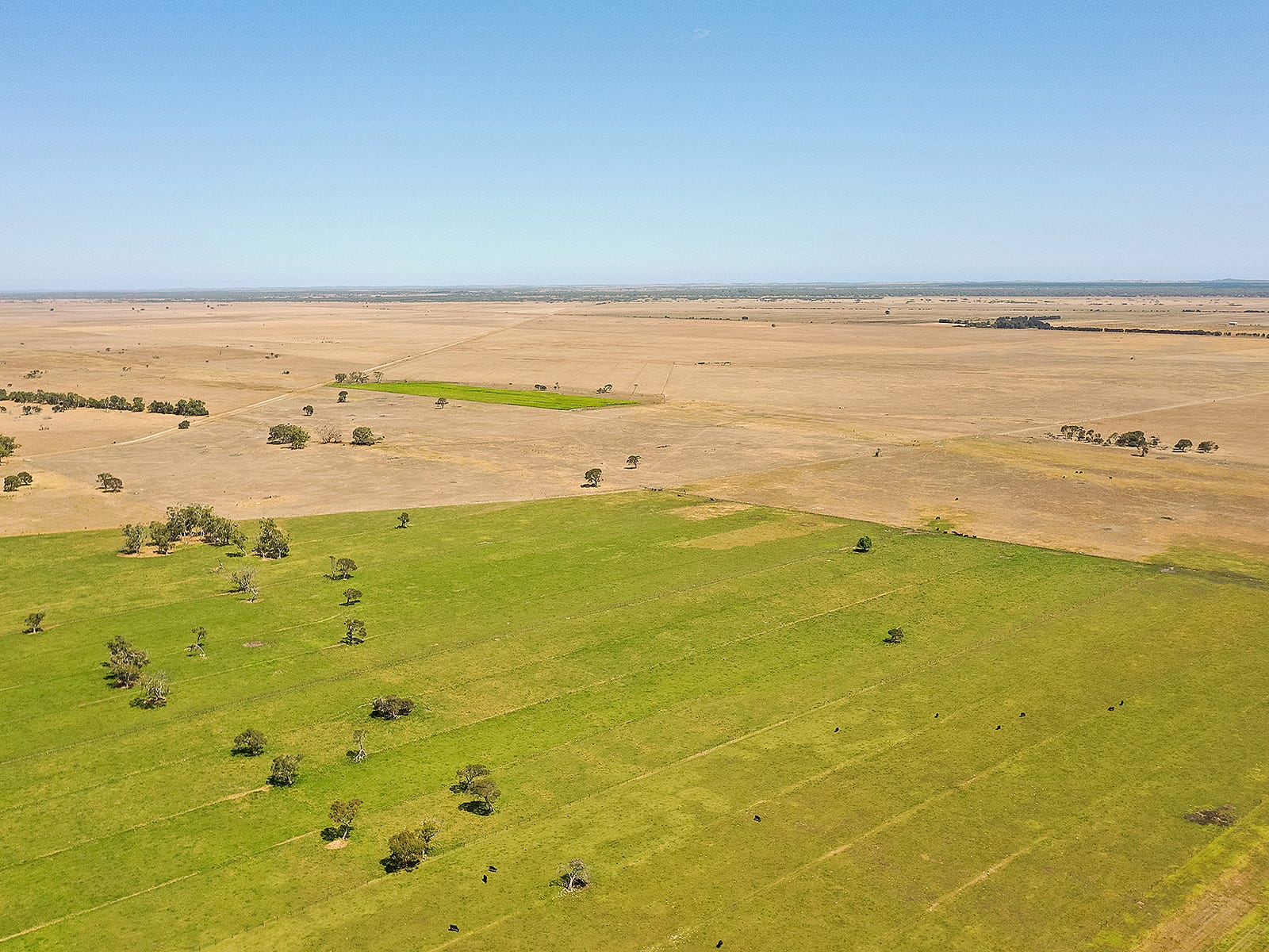 Business For Sale: Kingston Se, SA 5275