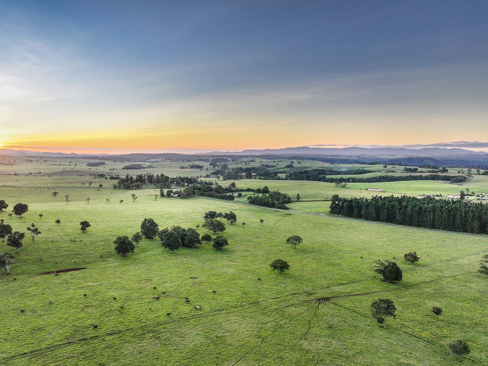 Business For Sale: North Johnstone, Qld 4885