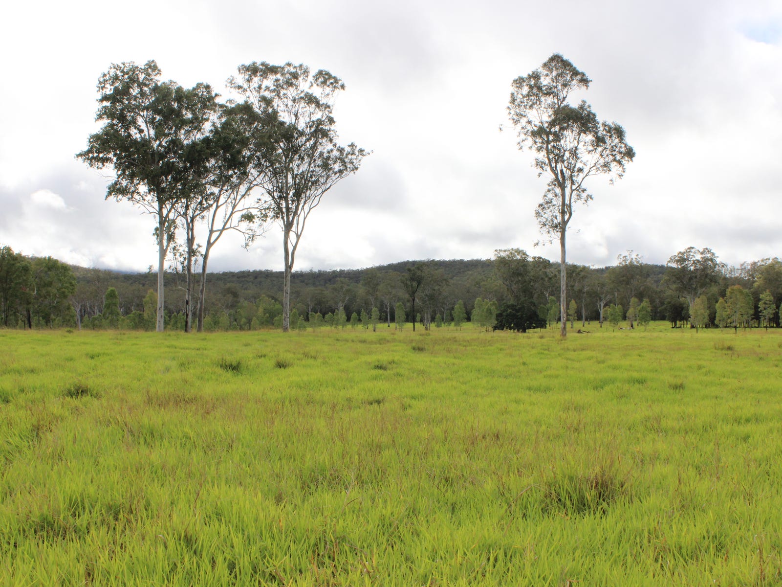 Business For Sale: Innot Hot Springs, Qld 4872