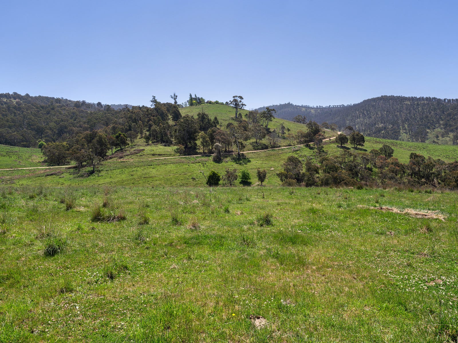 Business For Sale: Omeo, Vic 3898