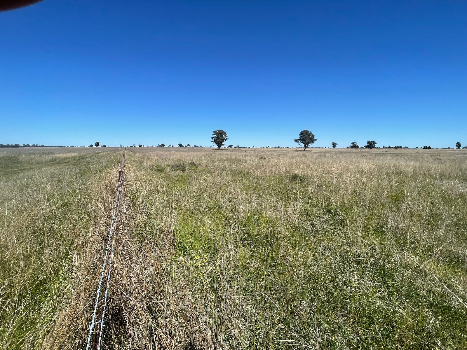 Business For Sale: Dubbo, NSW 2830