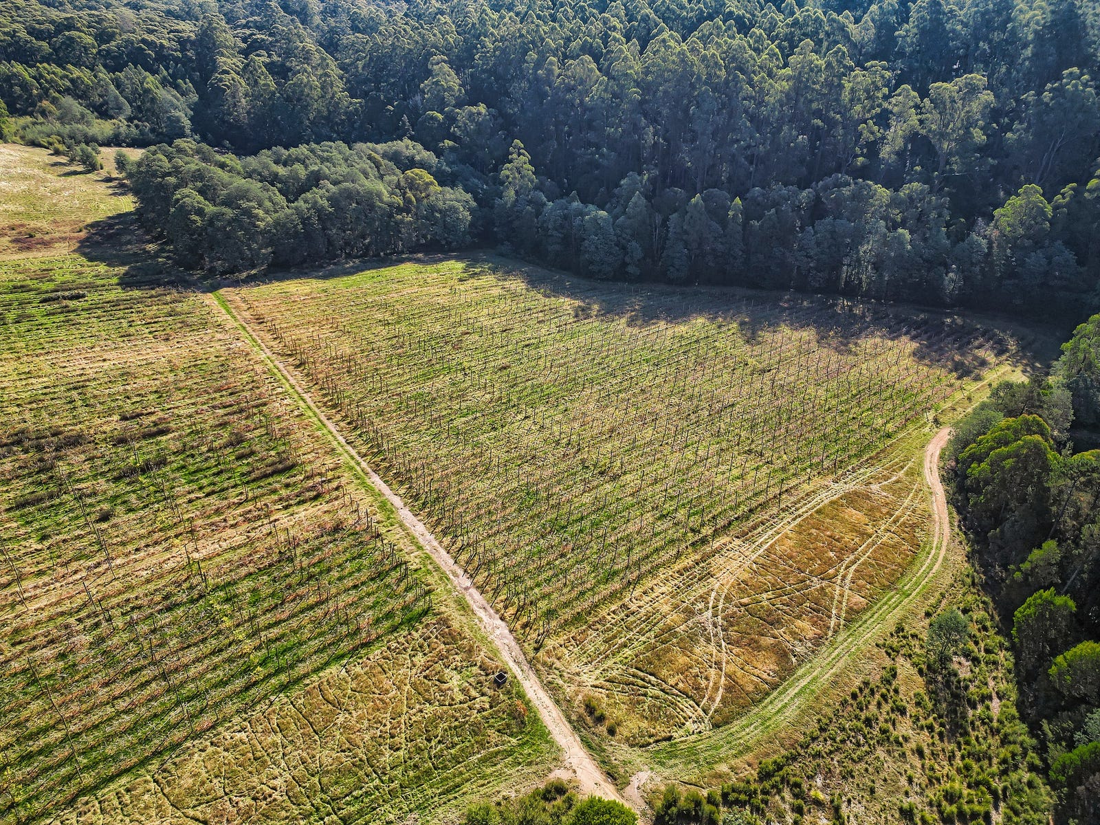 Farm For Sale in Hoddles Creek, Vic 3139 445 Beenak Road