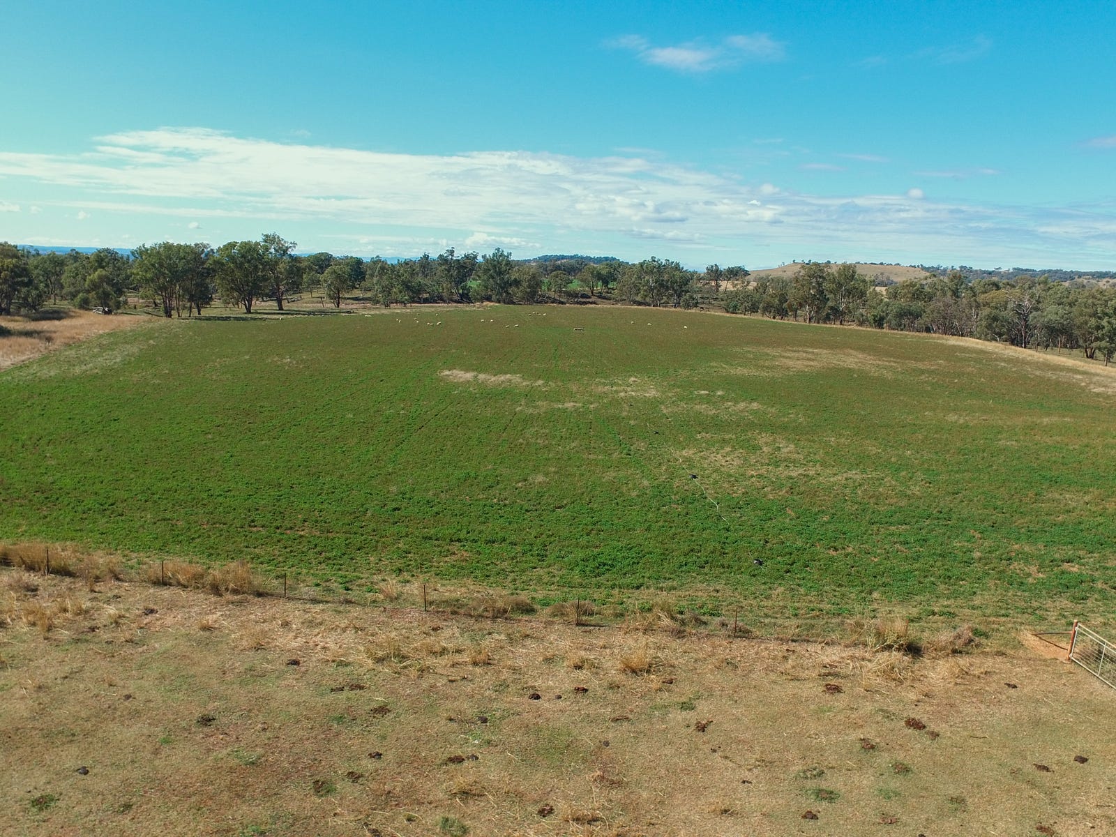 Business For Sale: Rob Roy, NSW 2360
