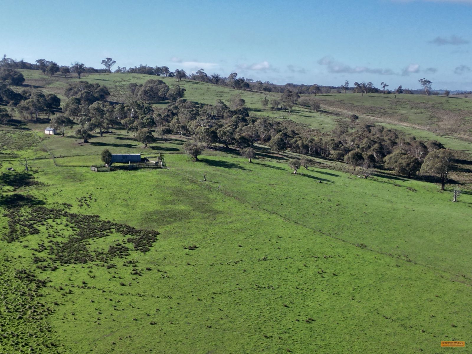 Business For Sale: Jincumbilly, NSW 2631
