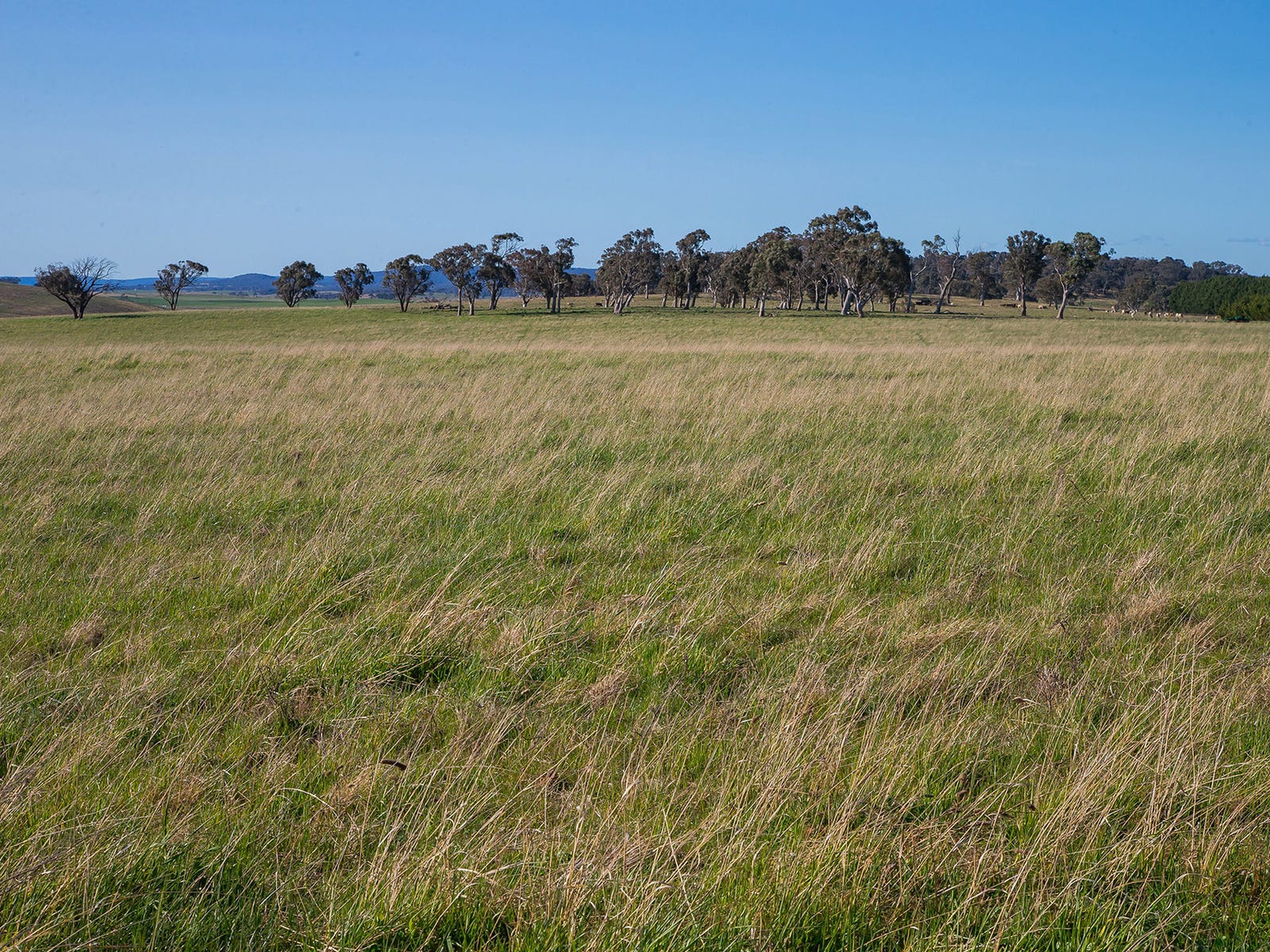 Business For Sale: Goulburn, NSW 2580