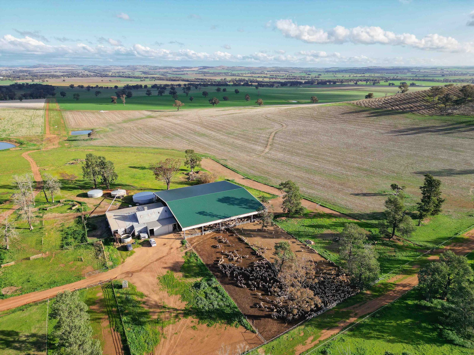Business For Sale: Eurongilly, NSW 2663