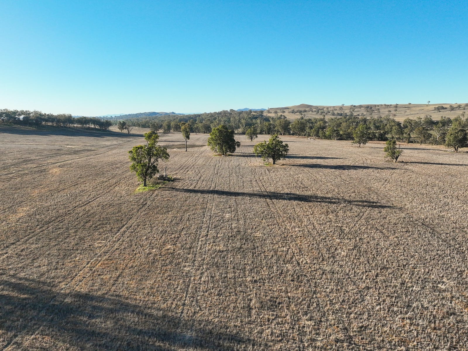 Farm For Sale in Tamworth, NSW 2340 Tarwarri Lindsay's Gap Road