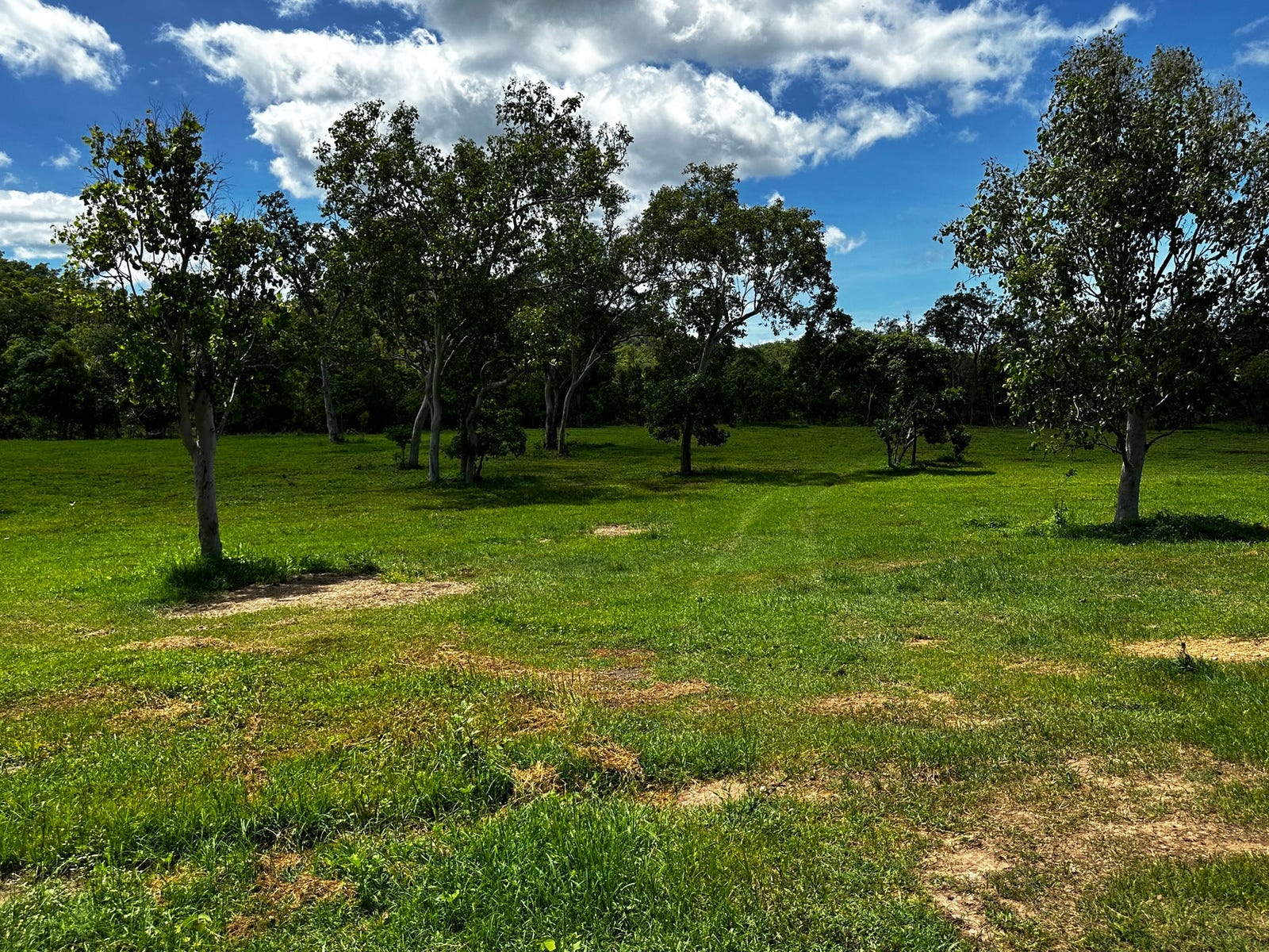 Farm For Sale in Proserpine, Qld 4800 | 1620 Gunyarra Road