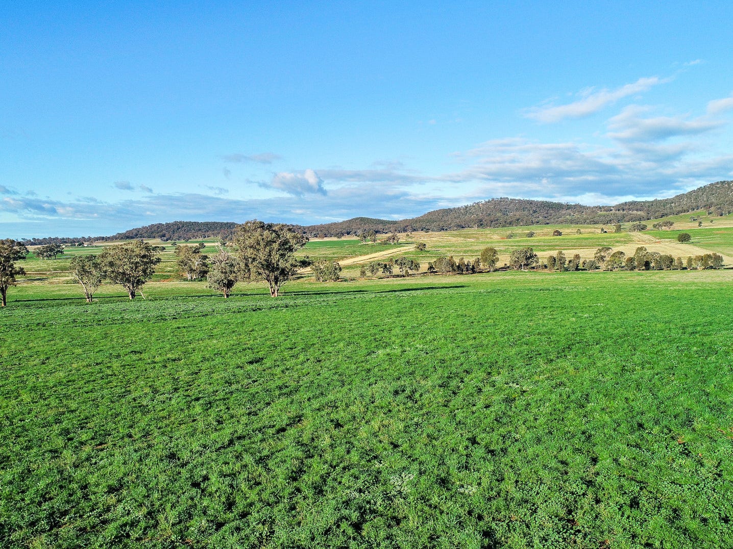 Business For Sale: Wellington, NSW 2820