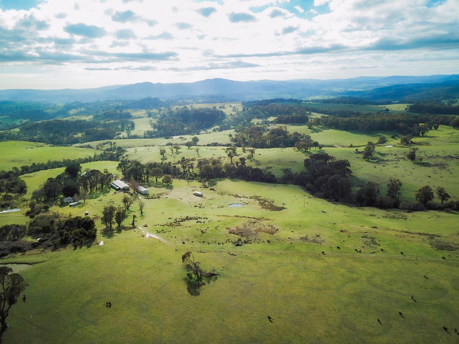 Business For Sale: Creightons Creek, Vic 3666