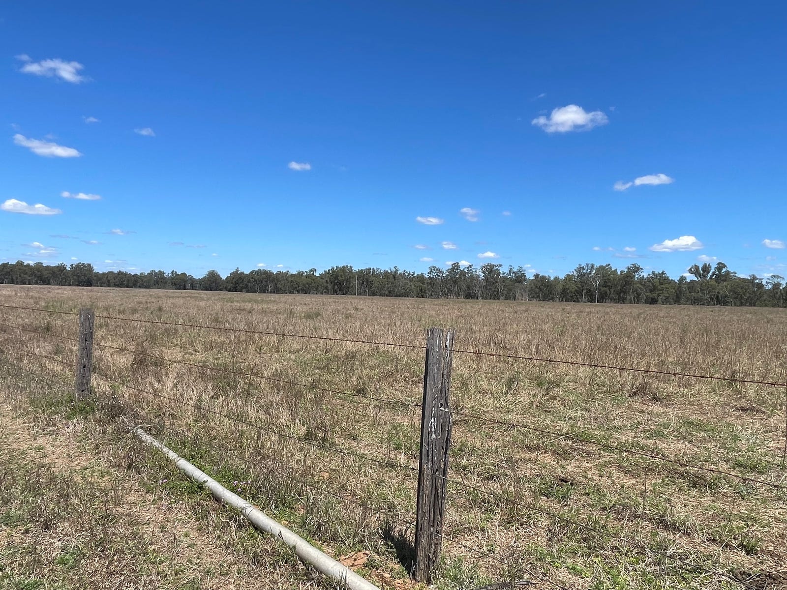 Business For Sale: Cynthia, Qld 4627